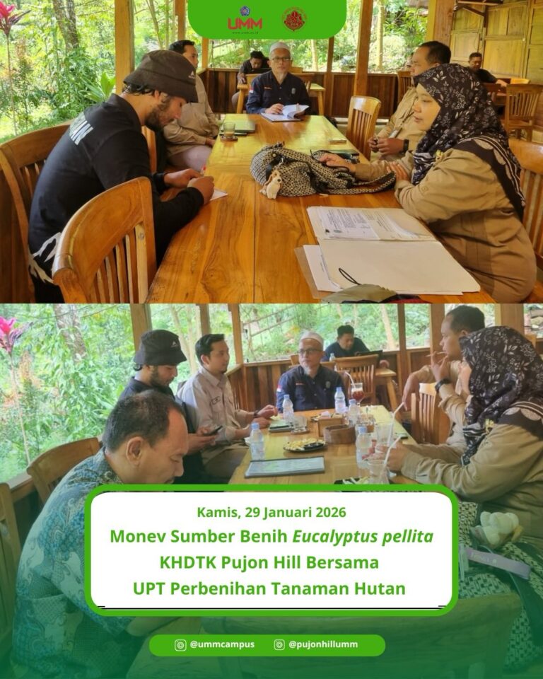 Monitoring dan Evaluasi Sumber Benih Eucalyptus pellita di KHDTK Pujon Hill